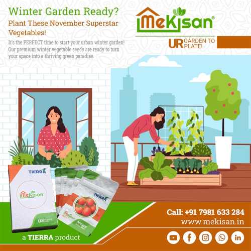 November Gardening Guide: Best Seeds to Grow in India for a Bountiful Winter Harvest