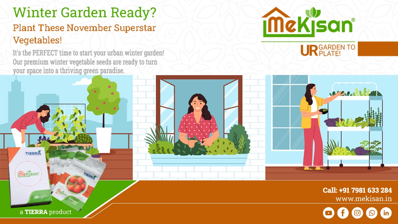 November Gardening Guide: Best Seeds to Grow in India for a Bountiful Winter Harvest