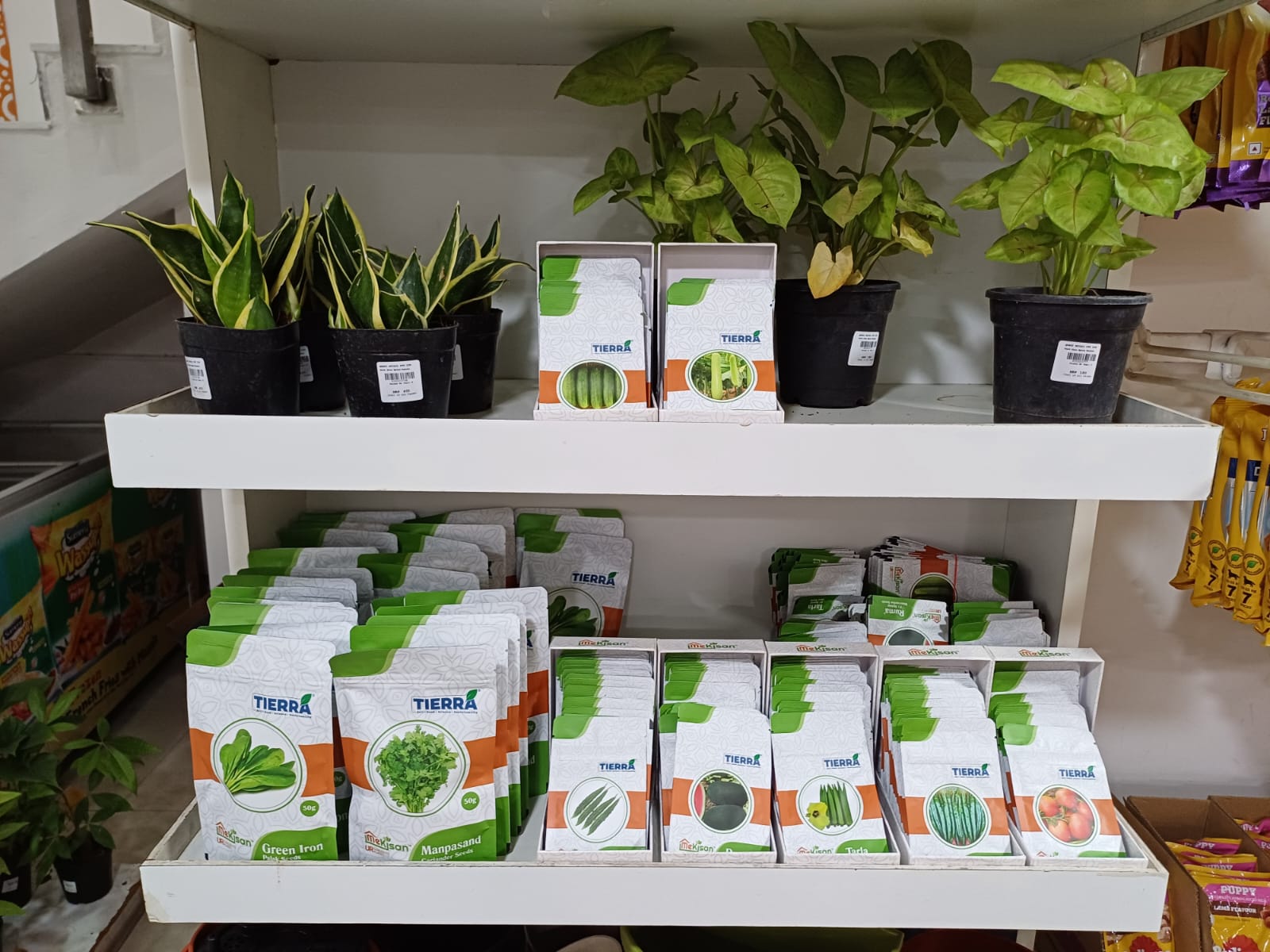 Mekisan Seeds at Qmart