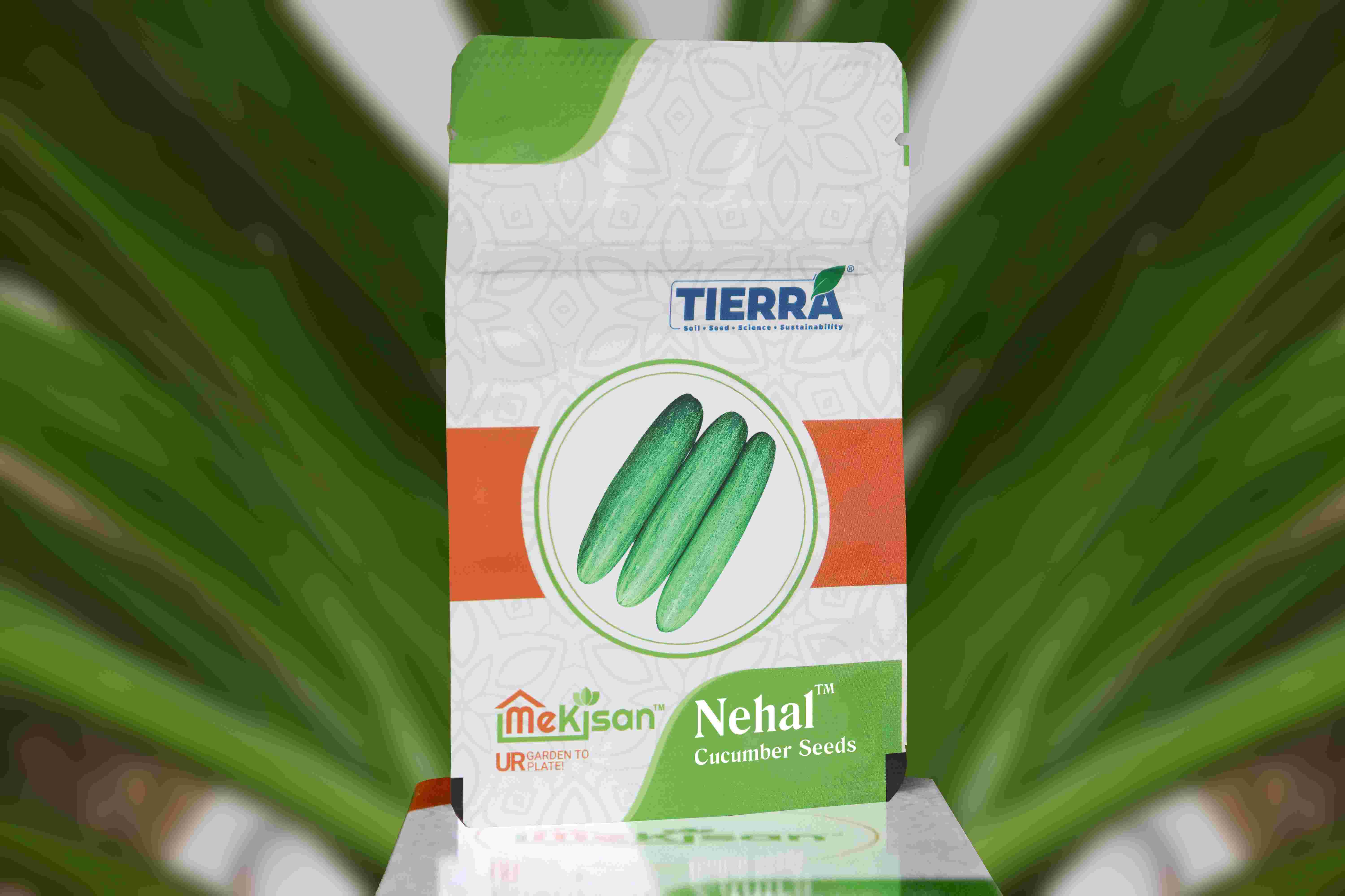 Nehal-Cucumber Seeds